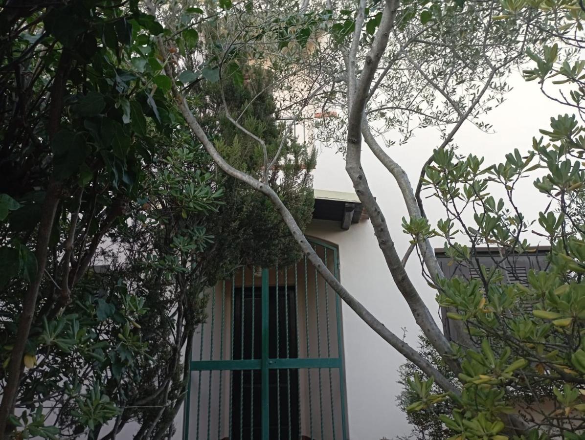 Domus Garden Bed & Breakfast Olbia Exterior photo