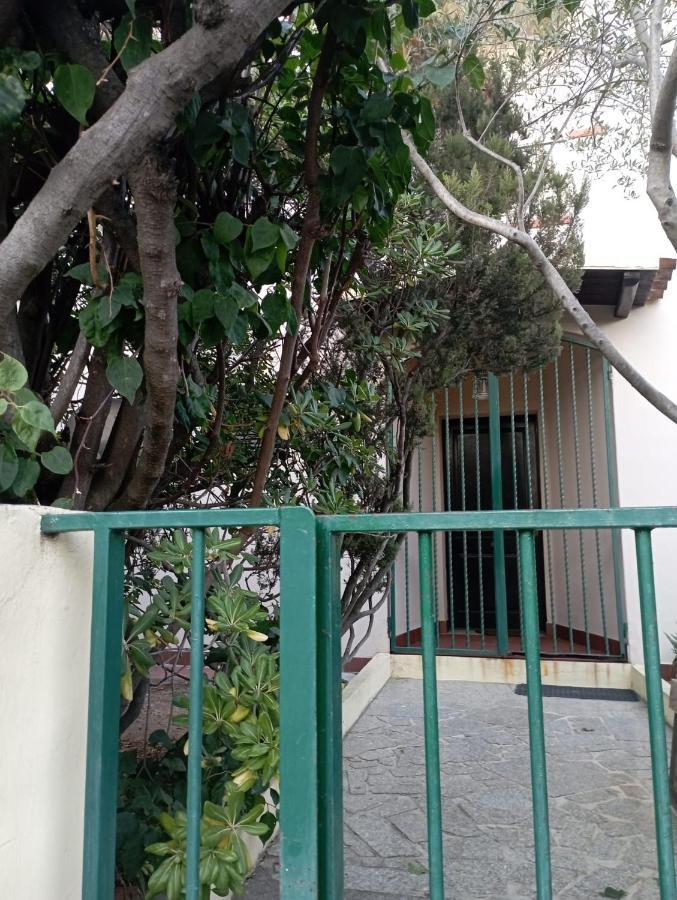 Domus Garden Bed & Breakfast Olbia Exterior photo