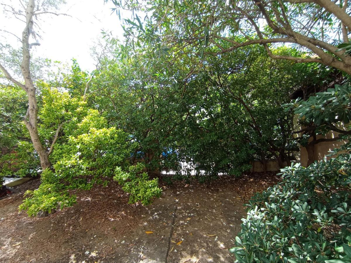Domus Garden Bed & Breakfast Olbia Exterior photo